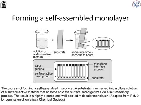 PPT - Self Assembled Monolayers PowerPoint Presentation, free download - ID:441776