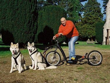 Scootering with your Dog(s) | Dogs, Animals beautiful, Your dog