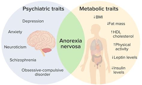 Anorexia Nervosa Signs And Symptoms