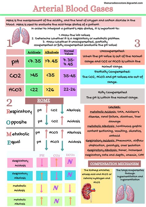 Arterial blood gas levels chart - S+ &2 $ONDORVLV HWDEROLF - Studocu