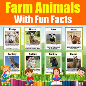 Let's learn about Farm Animals . 16 Flash cards with fun Facts for kids