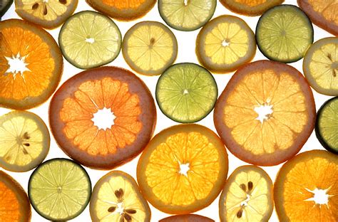 File:Citrus fruits.jpg - Wikimedia Commons