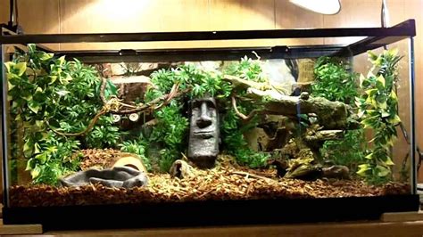 Snake Terrarium Decor Ideas