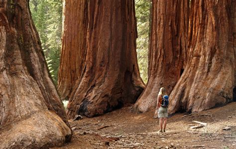 20 Best National Parks For Families | HuffPost