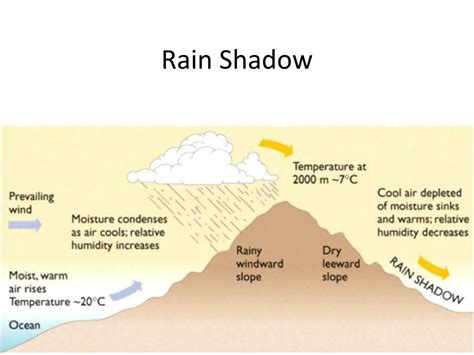 Rain Shadow Effect Diagram Label Worksheet