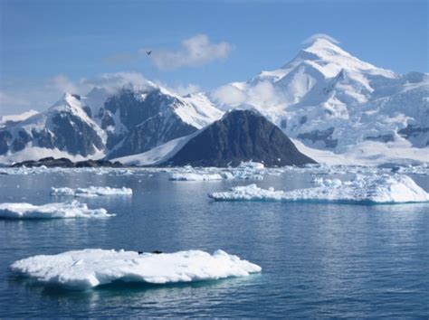 Antarctic - Habitat Explorers