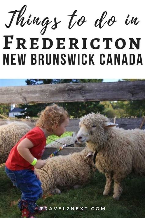 Things to do in fredericton – Artofit