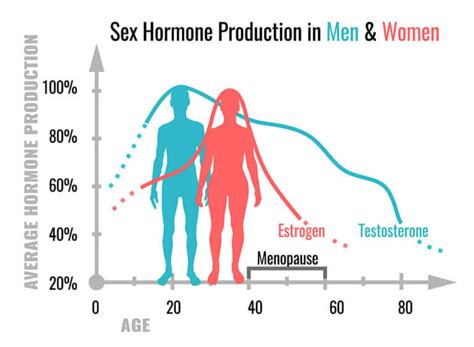 Consult egyenlő mikroszkóp para que sirven las hormonas sexuales a ...