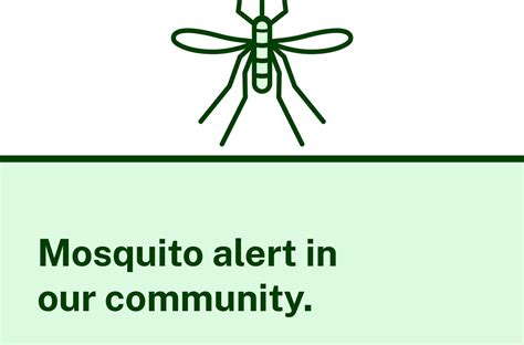 Murray Valley encephalitis virus detected in Murray River Council ...