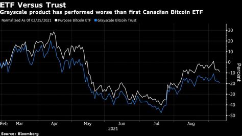 Cathie Wood’s Ark Investment Grants Itself Power to Buy Canada Bitcoin ...