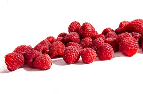 A Hand Full of Fresh Sweet Red Raspberry Stock Image - Image of raleys, rose: 115844149