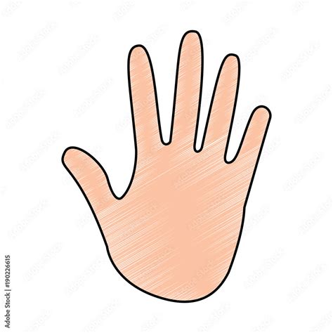 human hand showing five fingers open vector illustration drawing color ...