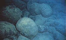 Submarine volcano - Wikipedia