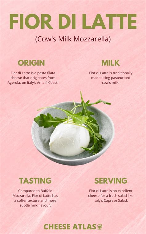 Fior di Latte: Italy's Cow Milk Mozzarella (Comprehensive Guide)