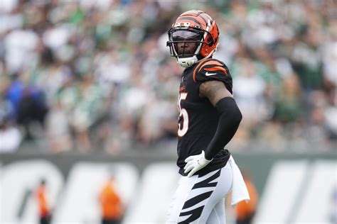 Bengals Wideout Tee Higgins Reacts To Joe Burrow's Support - The Spun