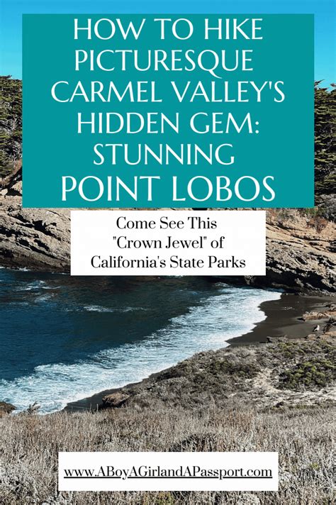 How To Hike Picturesque Carmel Valley's Hidden Gem: Stunning Point Lobos Nature Reserve | Nature ...