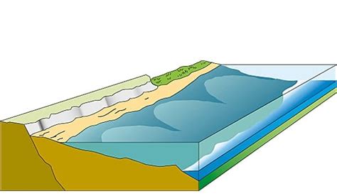 Why is littoral zone important? Archives - IILSS-International institute for Law of the Sea Studies