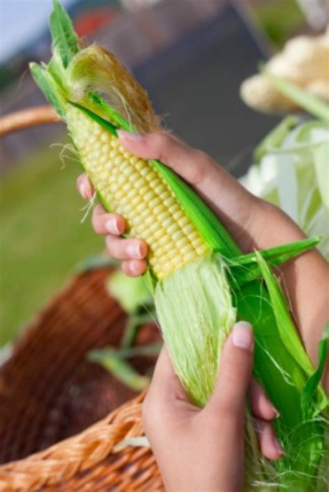 Easy Way to Shuck Corn | ThriftyFun