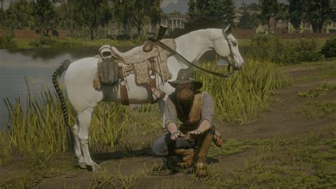 I’m really diggin the Panther Saddle. : r/reddeadredemption2