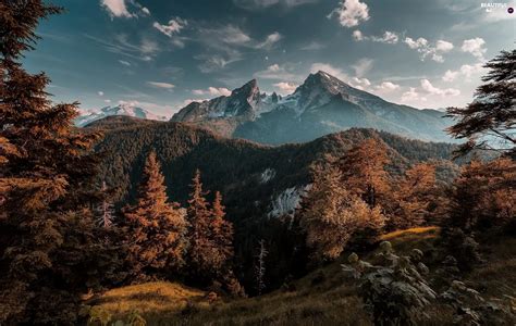 Bavaria, Germany, Berchtesgaden National Park, Mountains, viewes, woods, Watzmann Mountain ...