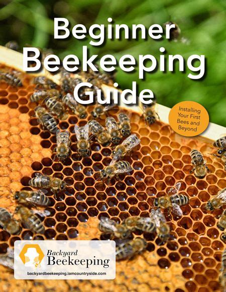 Using a beehive inspection checklist – Artofit