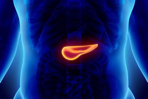 Pancreatic Cancer Stages | Johns Hopkins Medicine