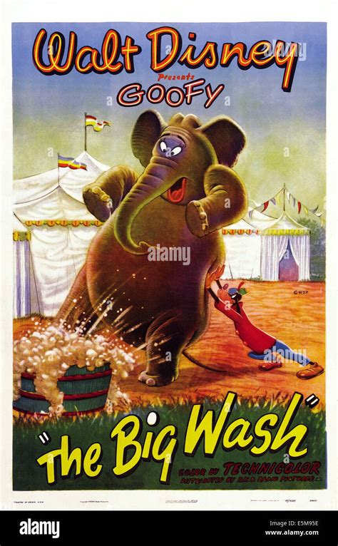 THE BIG WASH, US poster, from left: Dolores the elephant, Goofy, 1948 Stock Photo - Alamy