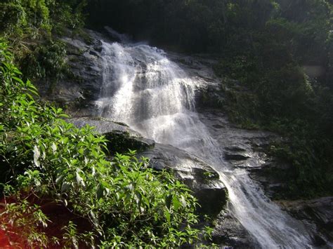 Tijuca Forest Sights & Attractions - Project Expedition