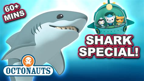 #SharkWeek @Octonauts - One Hour of Sharks 🦈 | 60 Mins+ ...