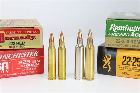 Best Coyote Cartridge: 223 vs 22-250 - Petersen's Hunting