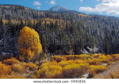 Fall Colors- Big Cottonwood Canyon, Utah Stock Photo 5945836 : Shutterstock