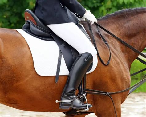 Best Women’s Horse Riding Boots – Equestrian Boots and Bridles