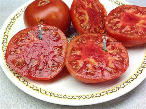 Ponderosa Beefsteak Tomato - Renaissance Farms Heirloom Tomato Seeds