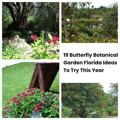 19 Butterfly Botanical Garden Florida Ideas To Try This Year | SharonSable