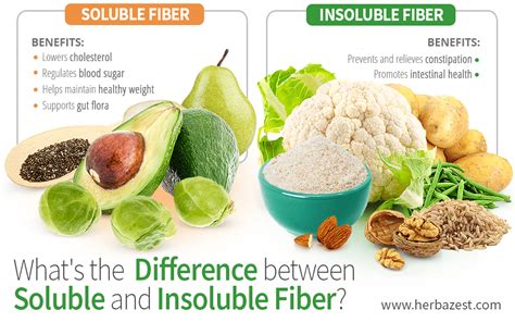 What's the Difference between Soluble and Insoluble Fiber? | HerbaZest