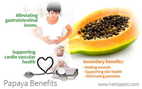 Papaya Benefits | HerbaZest