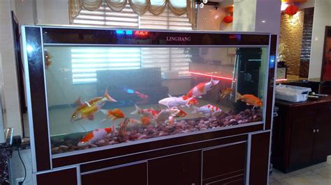 #fishtank Hibachi, Teppanyaki, Fried Food, Restaurant Review, Grilling Recipes, Fish Tank ...