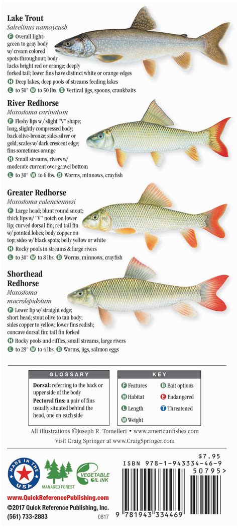 Lake Michigan Fish Species Chart