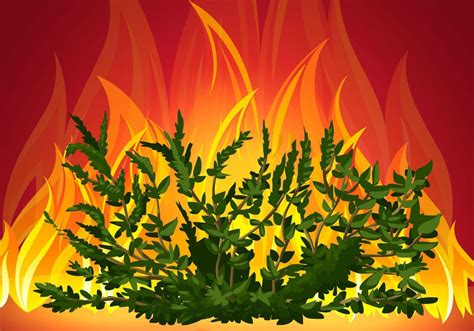 Burning Bush Vector at Vectorified.com | Collection of Burning Bush ...