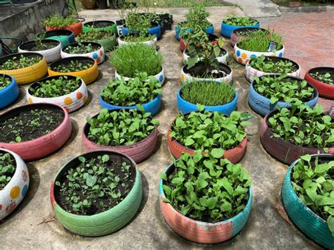 30 Creative Ways to Use Old Tires in Your Garden • TasteAndCraze