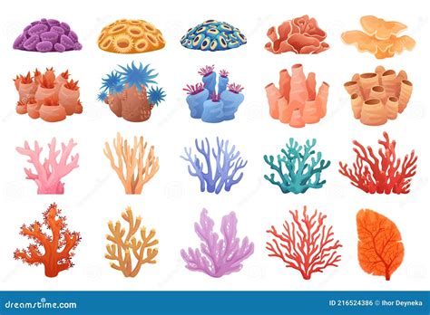 Set Corals Different Forms. Vector Coralline Reef Ocean Animals ...