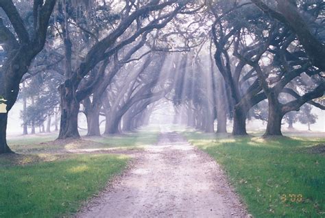 Prospect Hill Plantation - Parkers Ferry, Charleston County, South Carolina SC