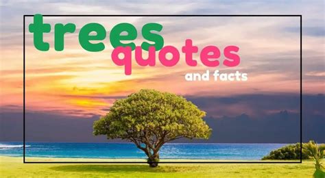 60 Incredible Tree Quotes and Facts - UntamedAnimals.com