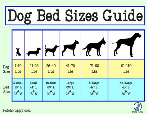 Dog bed sizes – Artofit