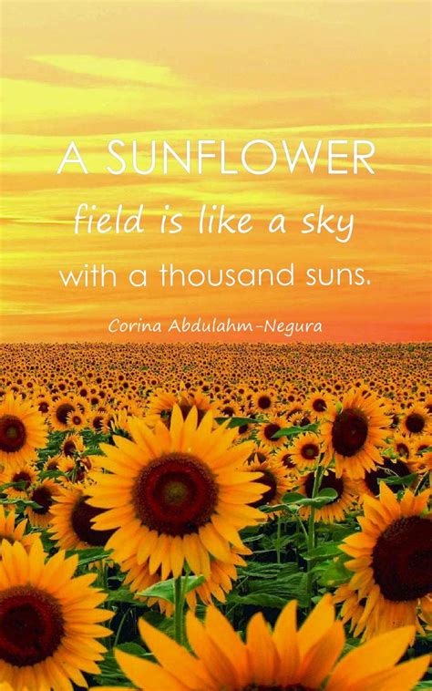 Sunflower Quotes Wallpapers - Top Free Sunflower Quotes Backgrounds - WallpaperAccess