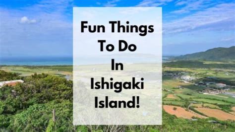 10 Fun Things To Do In Ishigaki Island | What To Do In Ishigaki Island 2024 - Japan Truly