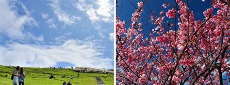 Yangmingshan National Park & Hot Springs