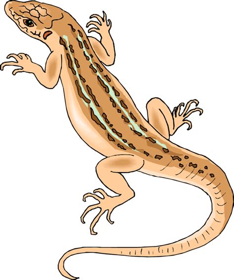 Free Lizard Clipart