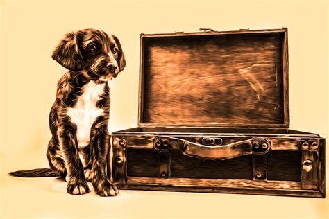 Oil Painting Puppy With Suitcase Free Stock Photo - Public Domain Pictures