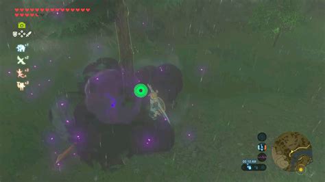 this was a silver lizalfos, right? you know, the one that drops good stuff? : r/botw